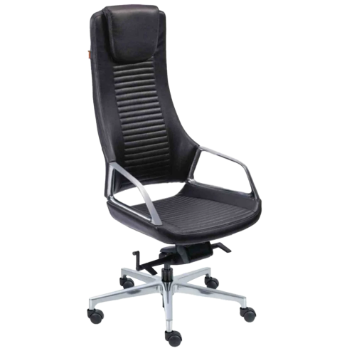 Director Chair